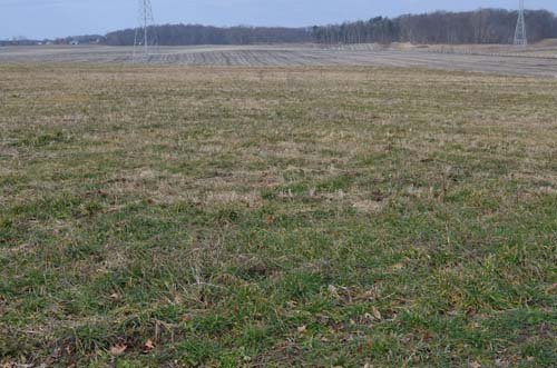 Property photo 5 - 98+/- Acres Offered in 6 Tracts or Combinations, Noble County, Indiana Farm